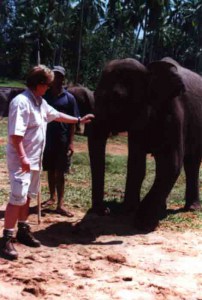 annette-elefant2